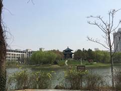 clip_image009.jpg IMG_2529